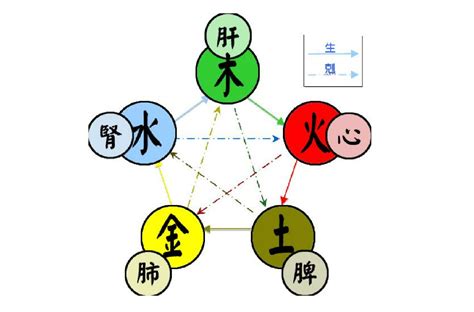 書 五行屬性|五行(對萬事萬物的取象比類):簡介介紹,涵義解析,初始。